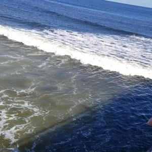 Meet your Posher, Donna renae